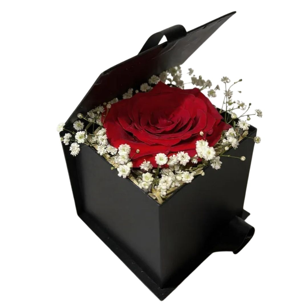 Mini Box com Rosa Colombiana
