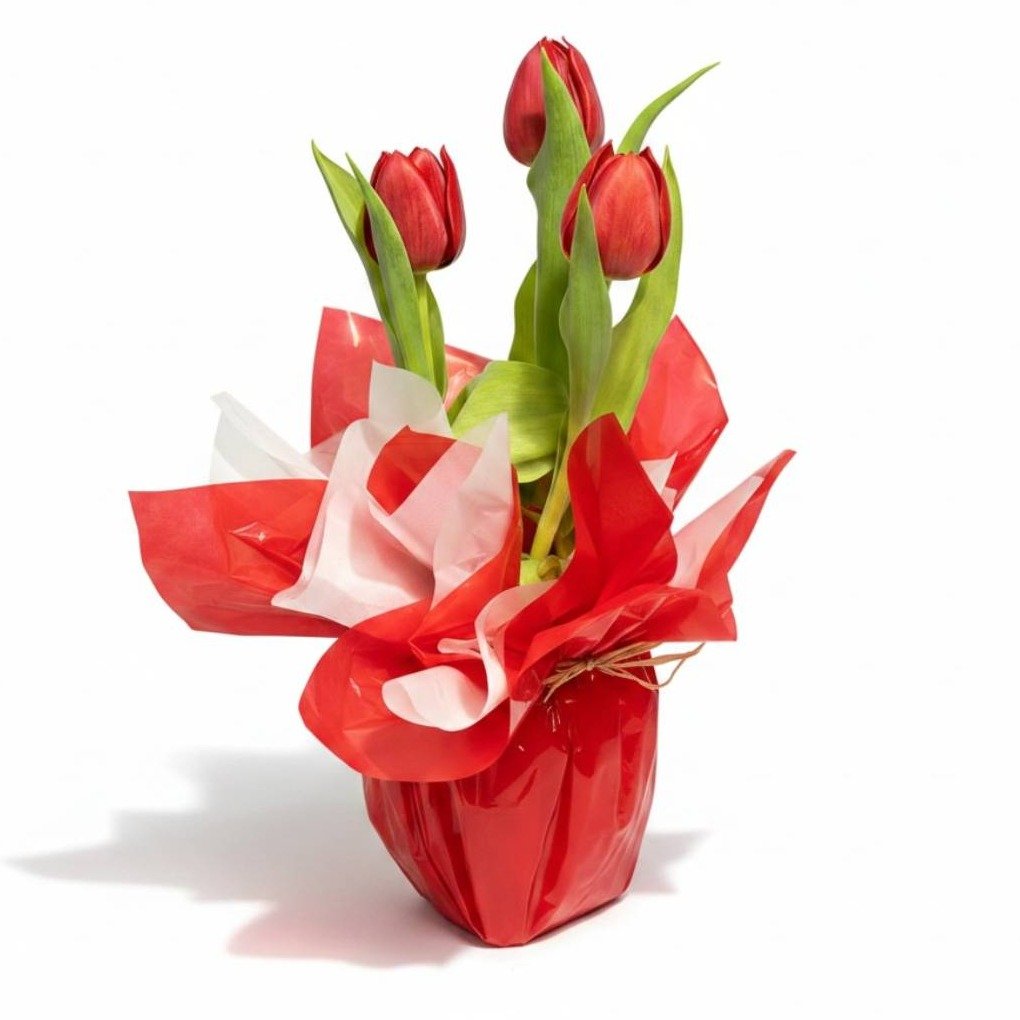Tulipas Vermelhas Naturais