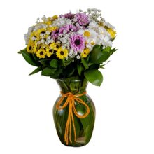 Vaso de Margaridas Coloridas