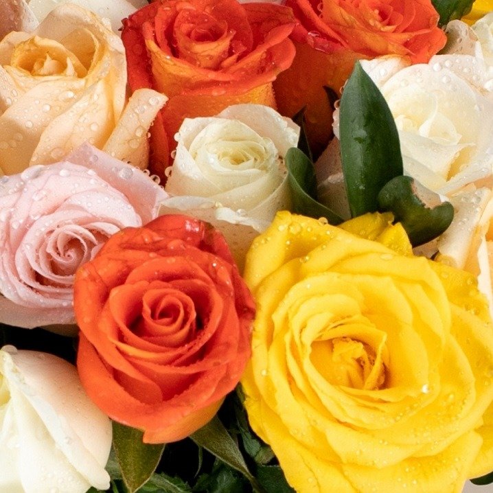 Buquê de 40 Rosas Coloridas