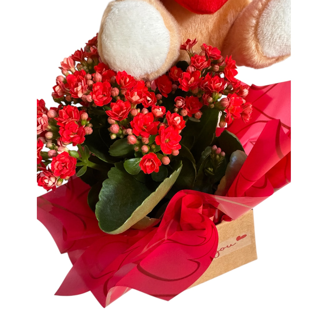 Box Flowers com Pelúcia 