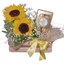 Alegria de Girassóis