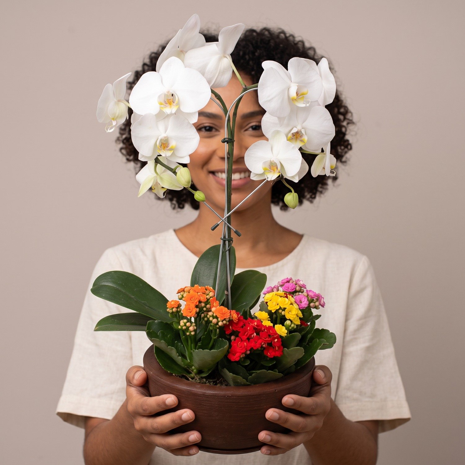Orquídea Phalaenopsis com Calandivas