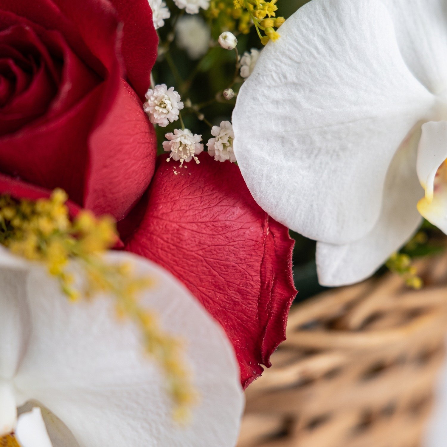 Orquídea com Rosas Vermelhas 