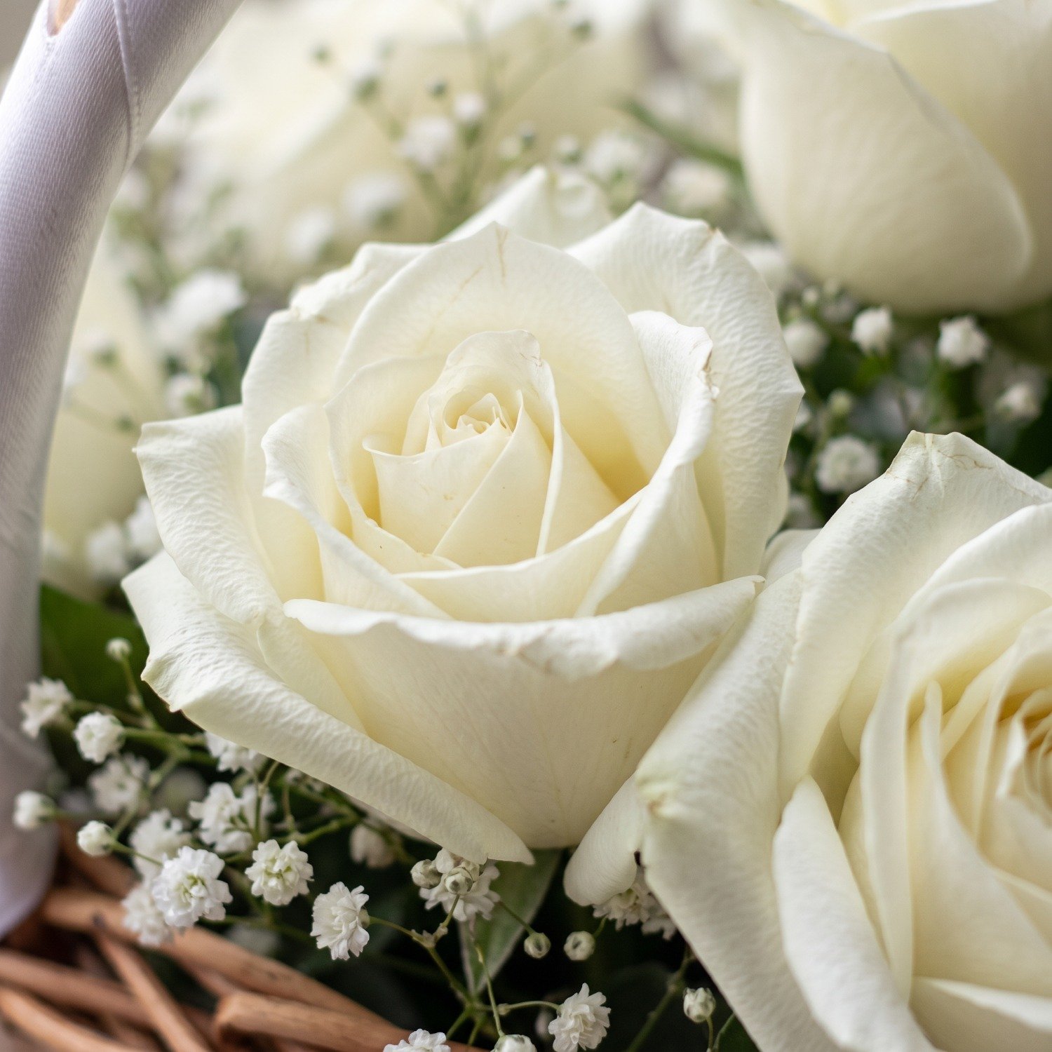 Cesta Rosas Brancas com Mosquitinhos