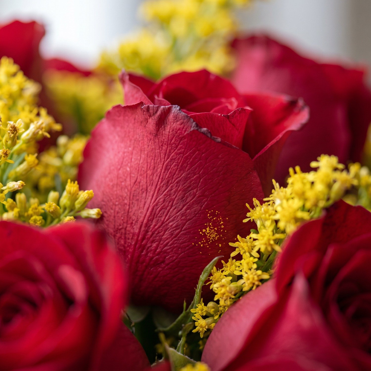 Buquê Tradicional 12 Rosas