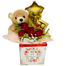 Box  Hoje é o Seu Dia