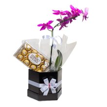 Belíssíma Orquídea  Pink e Ferrero Roccher 