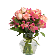 Beleza de Astromélias Rosadas 