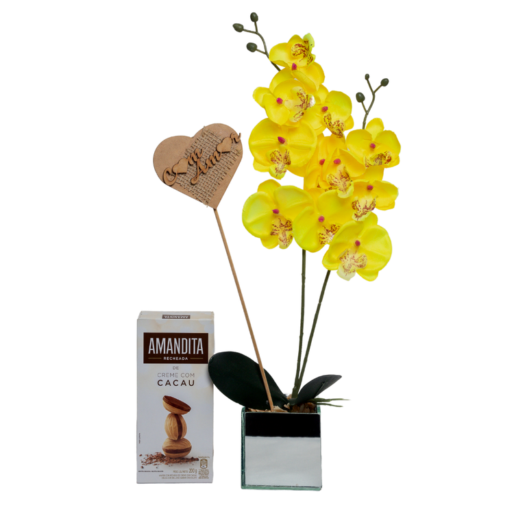 Orquídea Phalaenopsis E Chocolate