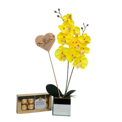 Orquídea Phalaenopsis e Ferrero Rocher