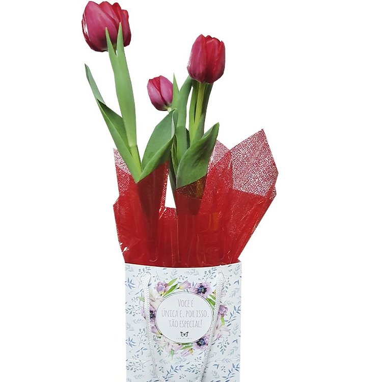Tulipa Vermelha Você é única | Nova Flor