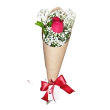 Cone DE Rosas