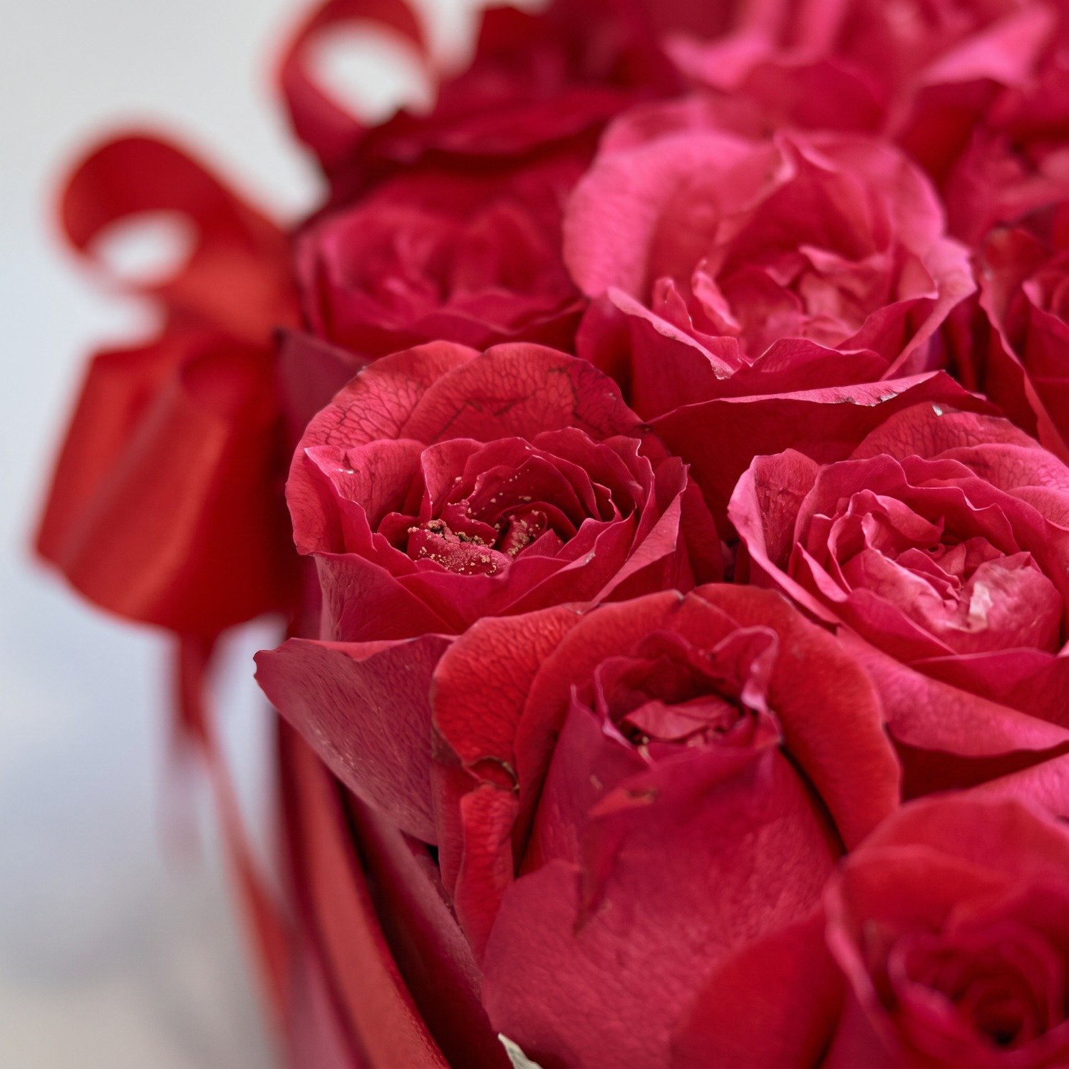 Box Rosas Vermelhas 
