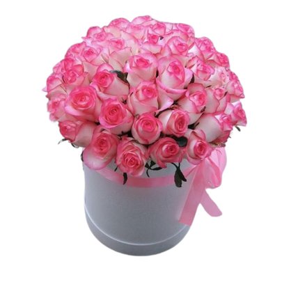 Box Rosa Paixão
