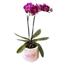 Orquídea em Vaso Artesanal Marmorizado 