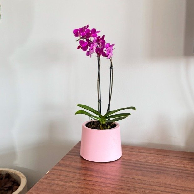 Orquídea Lilás em Vaso Artesanal Rosa