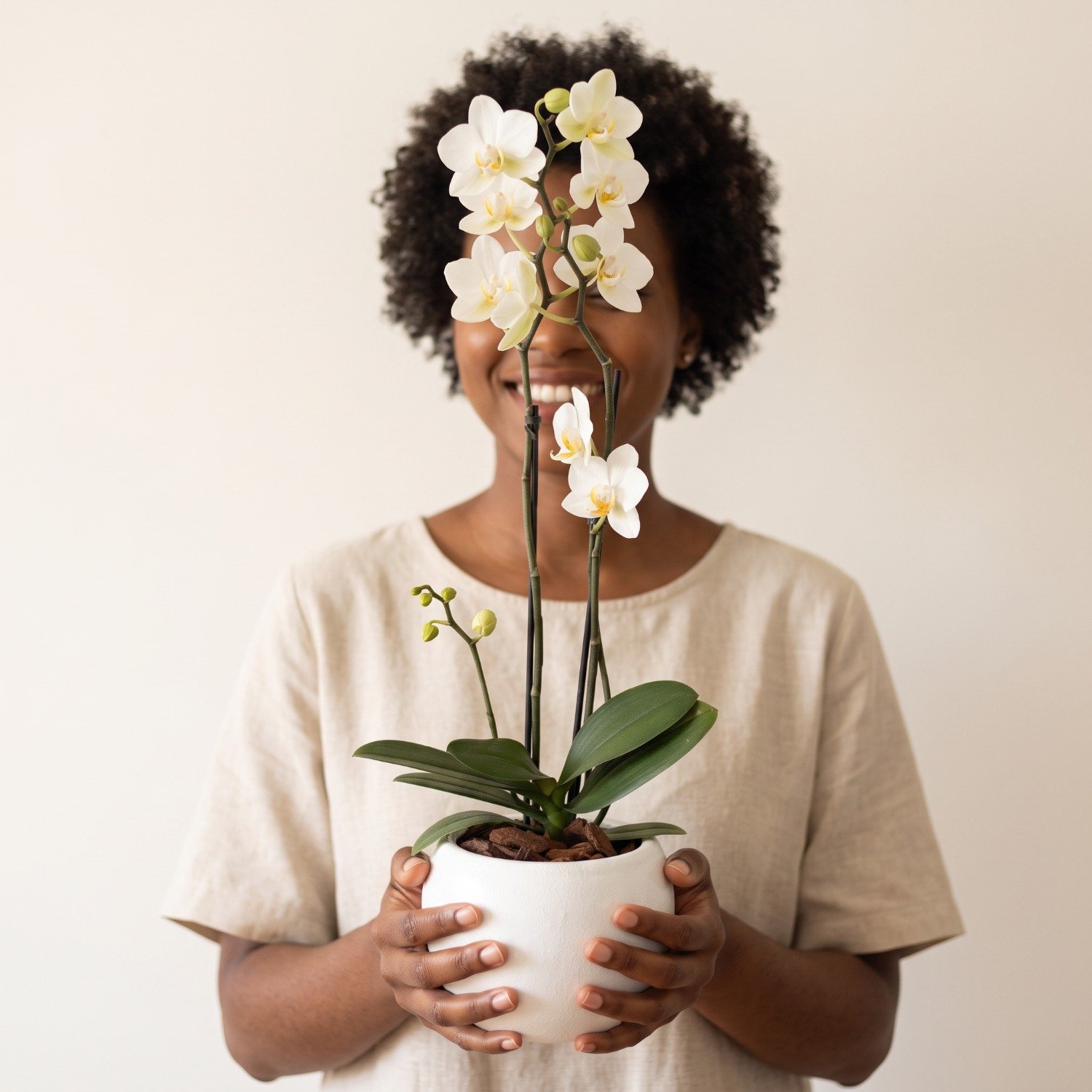 Orquídea Branca em Vaso de Cerâmica Branco