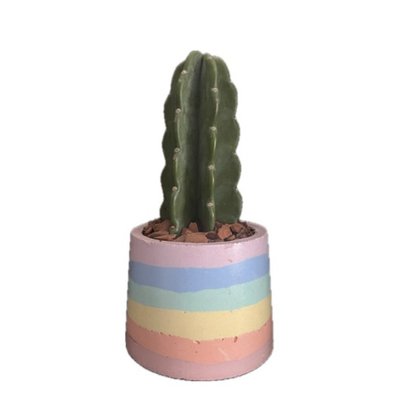Cacto Mandacaru Sem Espinhos no Vaso Pride