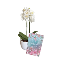Orquídea Branca com Biblia em Vaso de Cerâmica Branco