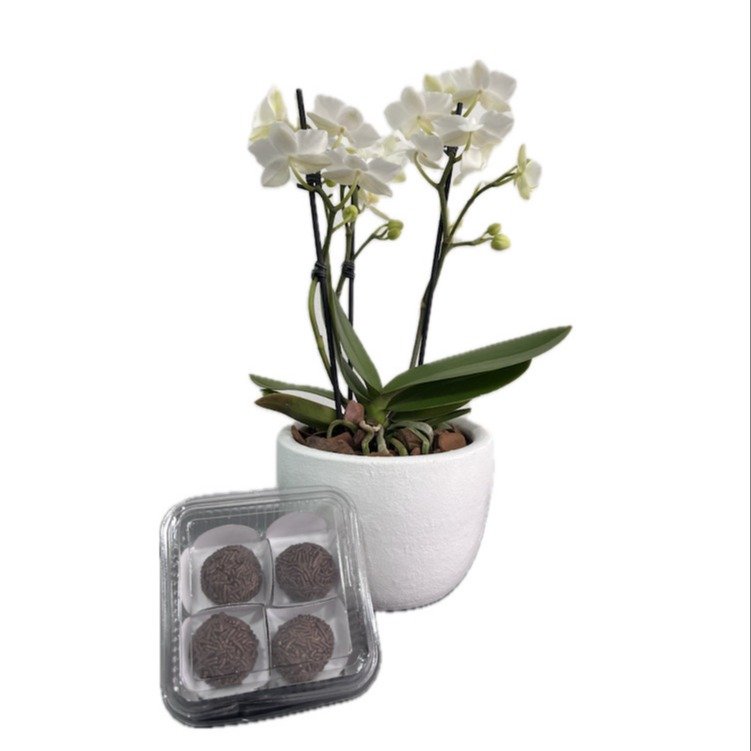 Orquídea Branca com Brigadeiro Sodiê para Presentear 