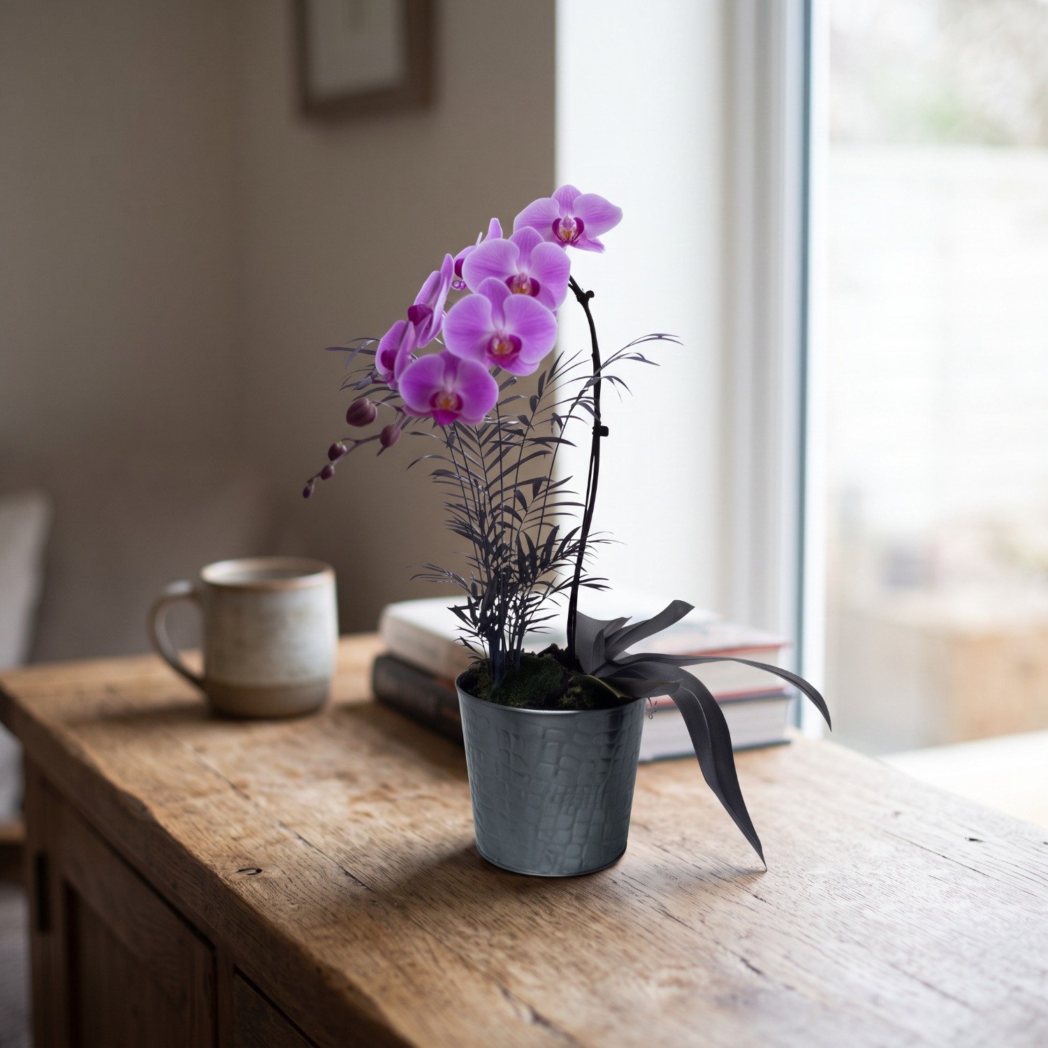 Orquidea Pink Em Vaso Preto