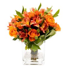 Arranjo Laranja Em Vaso Quadrado