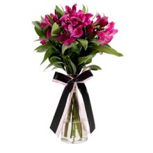 Arranjo De Astromélias Pink Em Vaso De Vidro - Tiffany