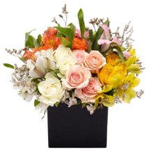 Caixa de Flores - Ambre