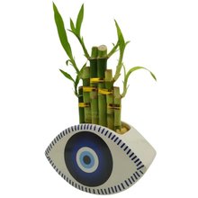 Cachepot Olho Grego com Bambu da Sorte