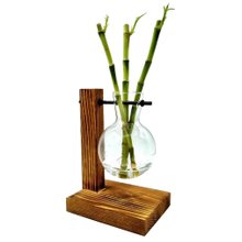 Vaso Pendente com Bambu da Sorte e Suporte