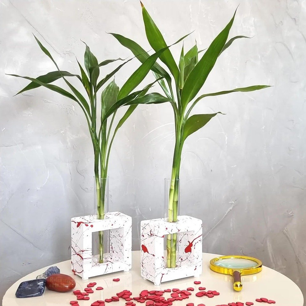 Kit Duo Love com Bambu da Sorte e Vaso em Vidro