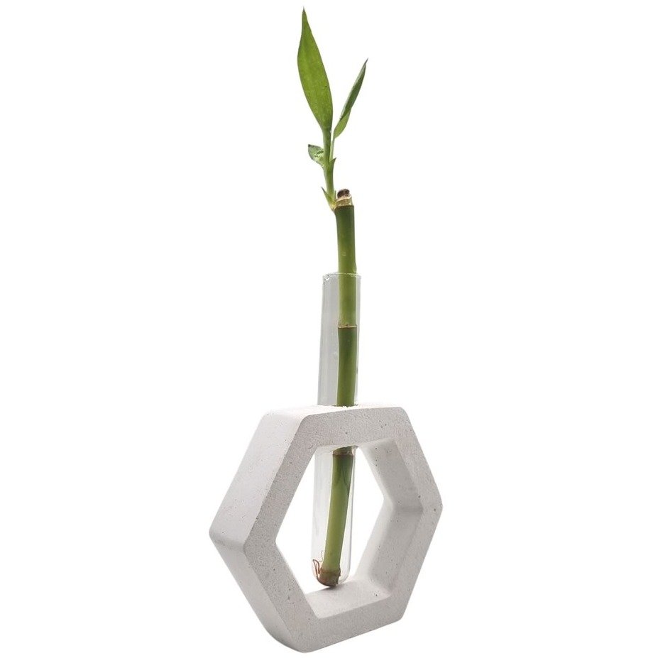 Bambu da Sorte com Suporte Hexágono e Tubo de Vidro