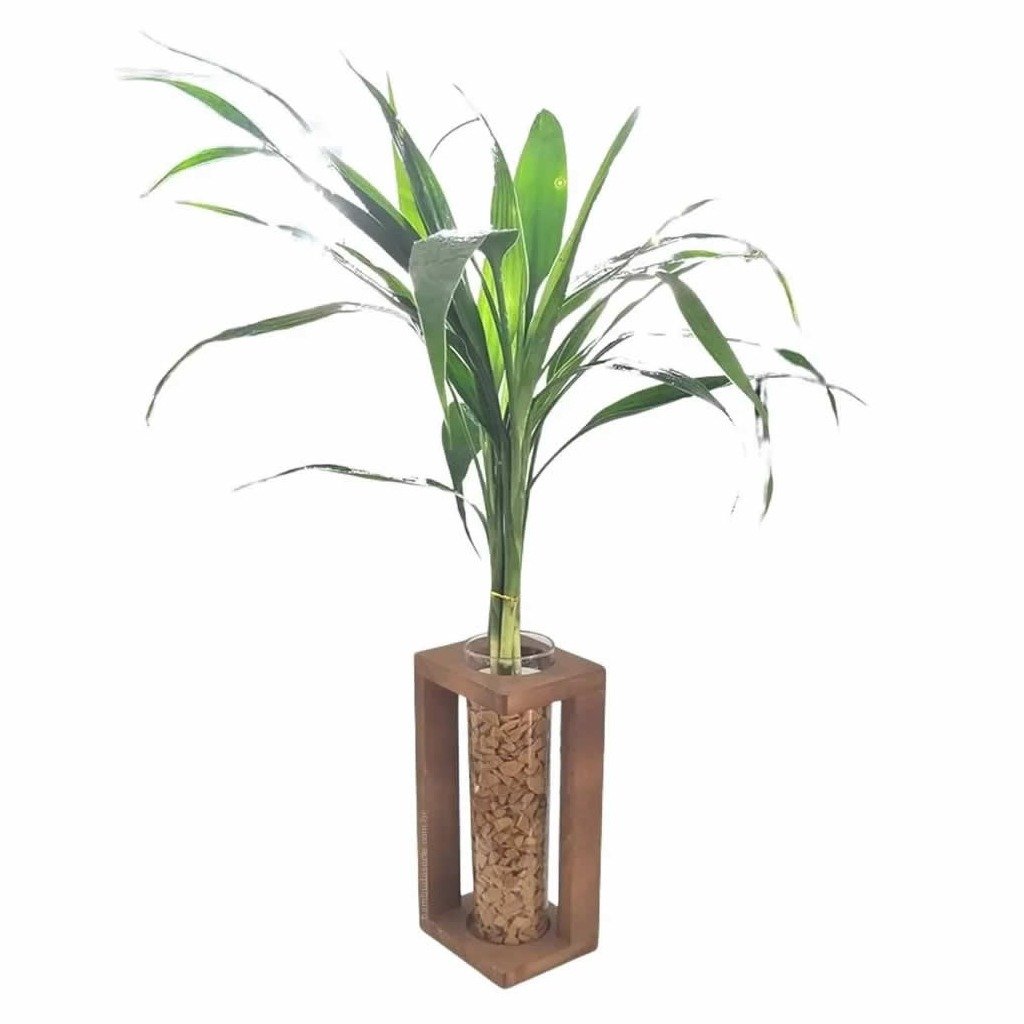 Conjunto de Vasos Rústicos com Bambu da Sorte