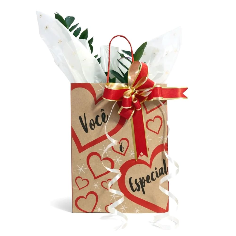 Kit Presente com Planta Zamioculca Baby