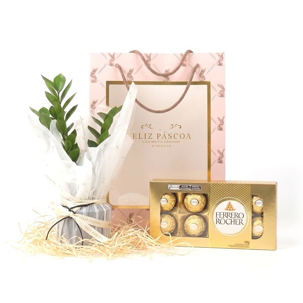 Kit de Páscoa com Zamioculca e Chocolate