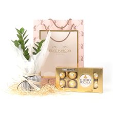 Kit de Páscoa com Zamioculca e Chocolate