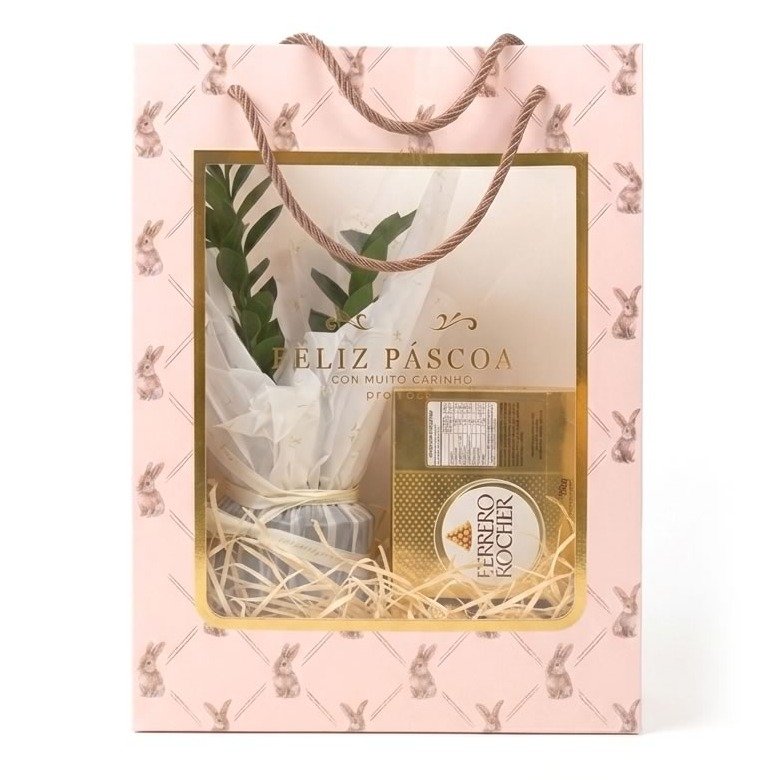 Kit de Páscoa com Zamioculca e Chocolate