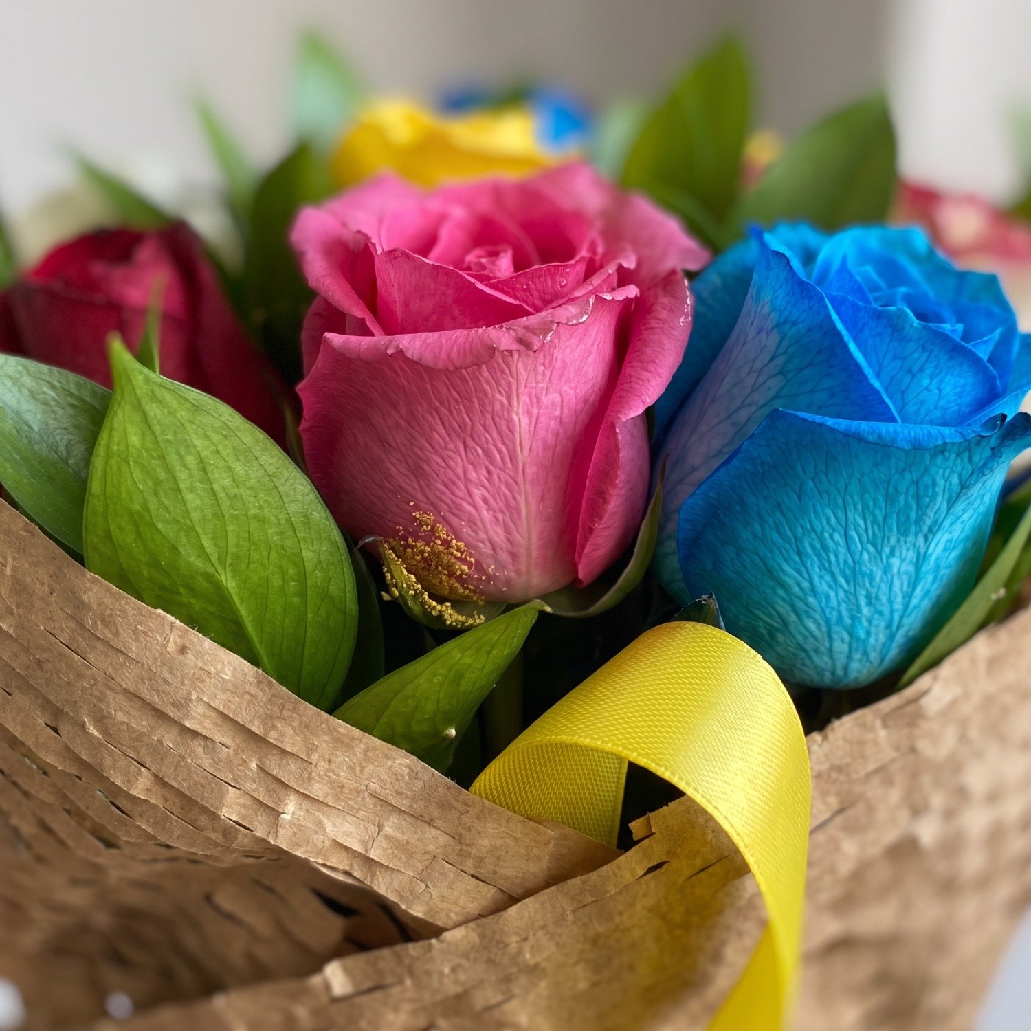 Buquê Aconchego de Rosas Coloridas 