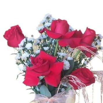 Especial Rosas Vermelhas
