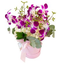 Arranjo de Flores com Orquídeas Hortênsias na Box Lyon