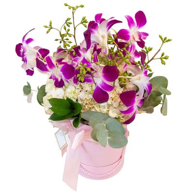 Arranjo de Flores com Orquídeas Hortênsias na Box Lyon