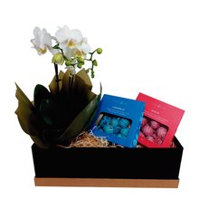 Box Flor e Chocolate