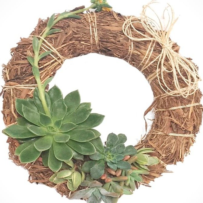 Guirlanda com Suculentas Naturais