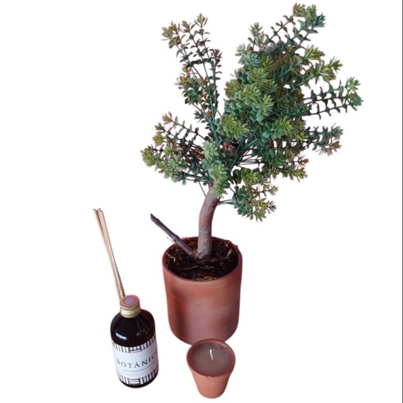 Kit Presente Conexão Botânica