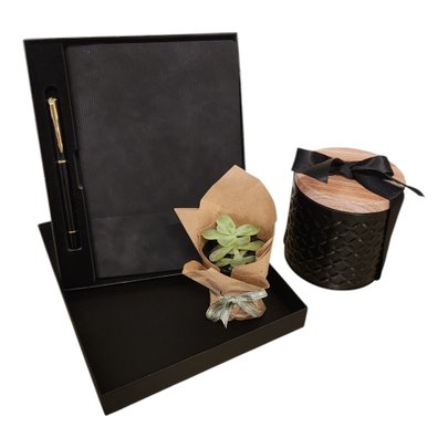 Kit Executive Elegance