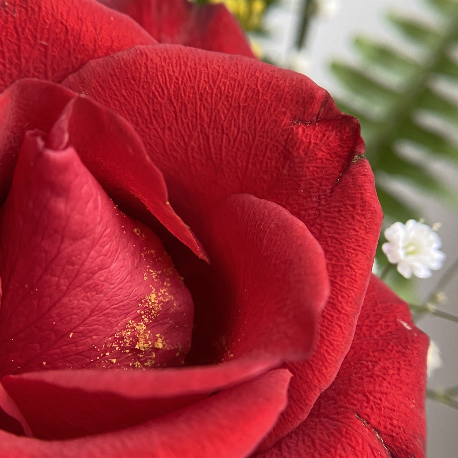 Duas Rosas Colombianas 