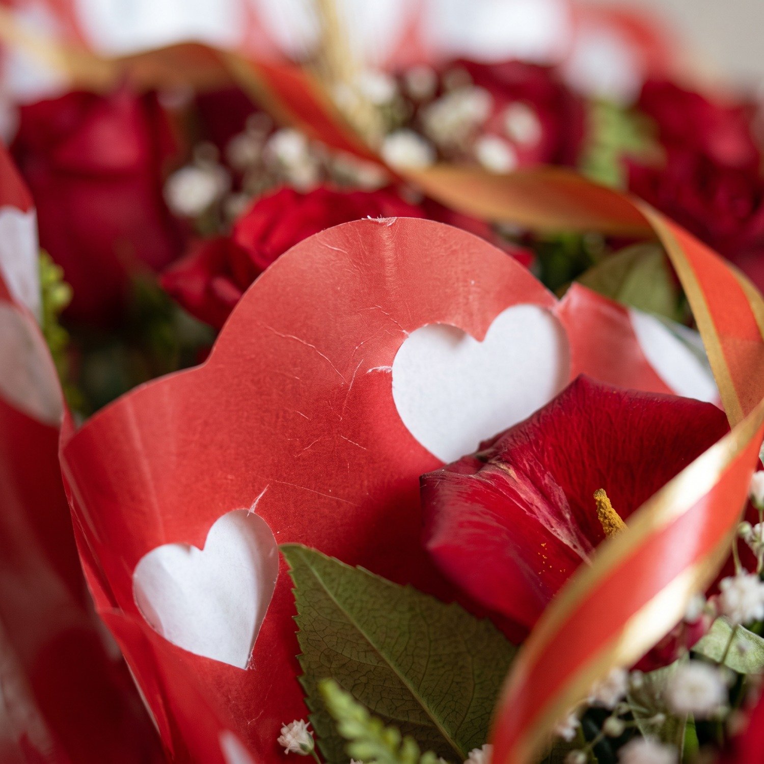 Buquê Tradicional de 12 Rosas Vermelhas 
