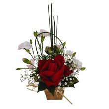 Solitário na Caixinha 