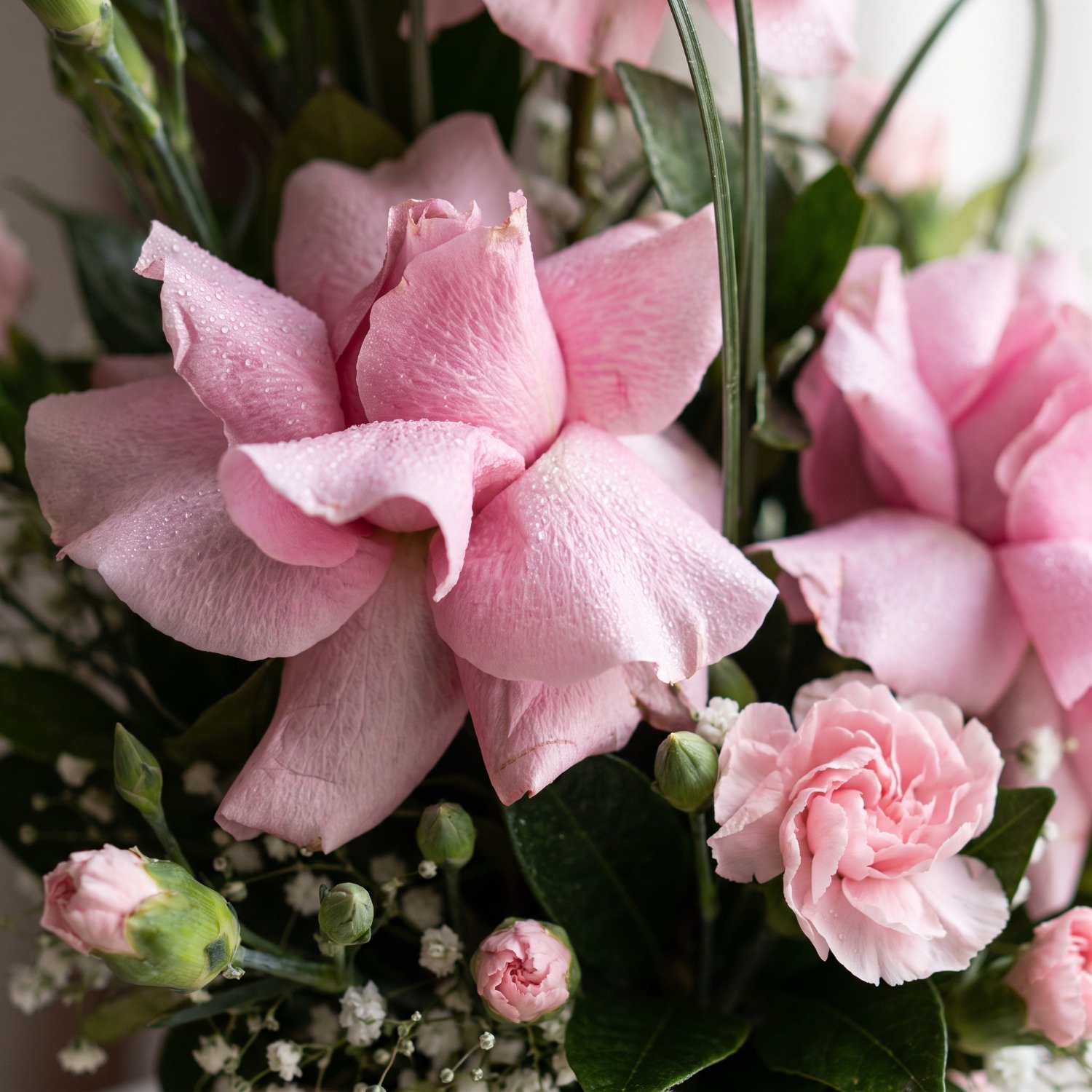 Cachepô de Rosas Cor de Rosas